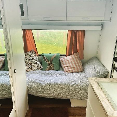 Cosy Caravan At Carrigeen Glamping 호텔 킬케니 외부 사진