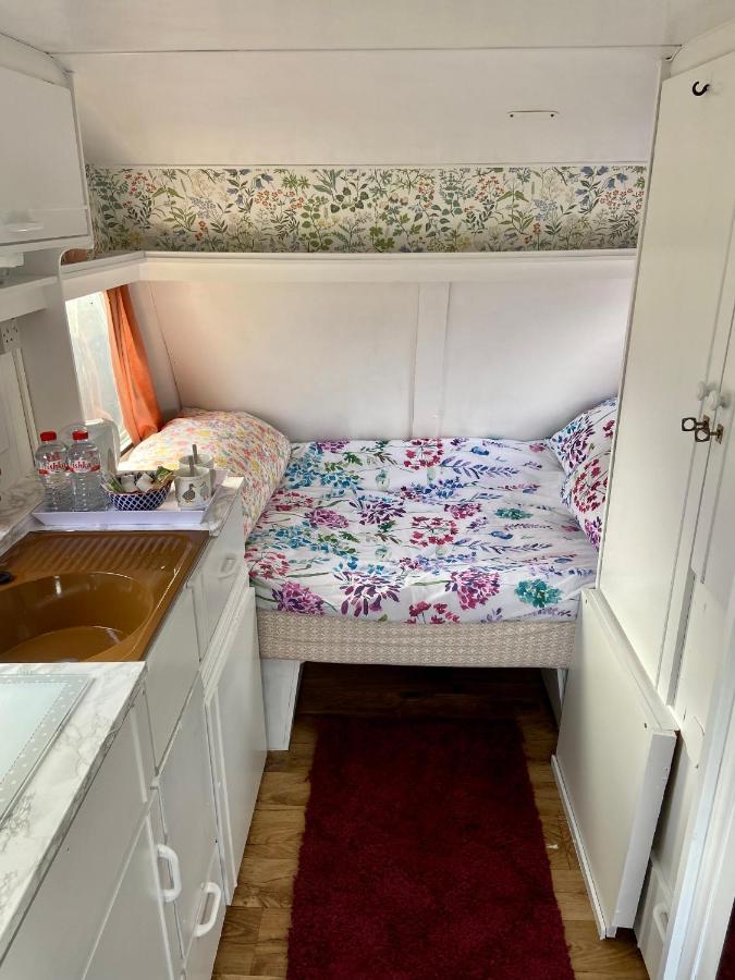 Cosy Caravan At Carrigeen Glamping 호텔 킬케니 외부 사진