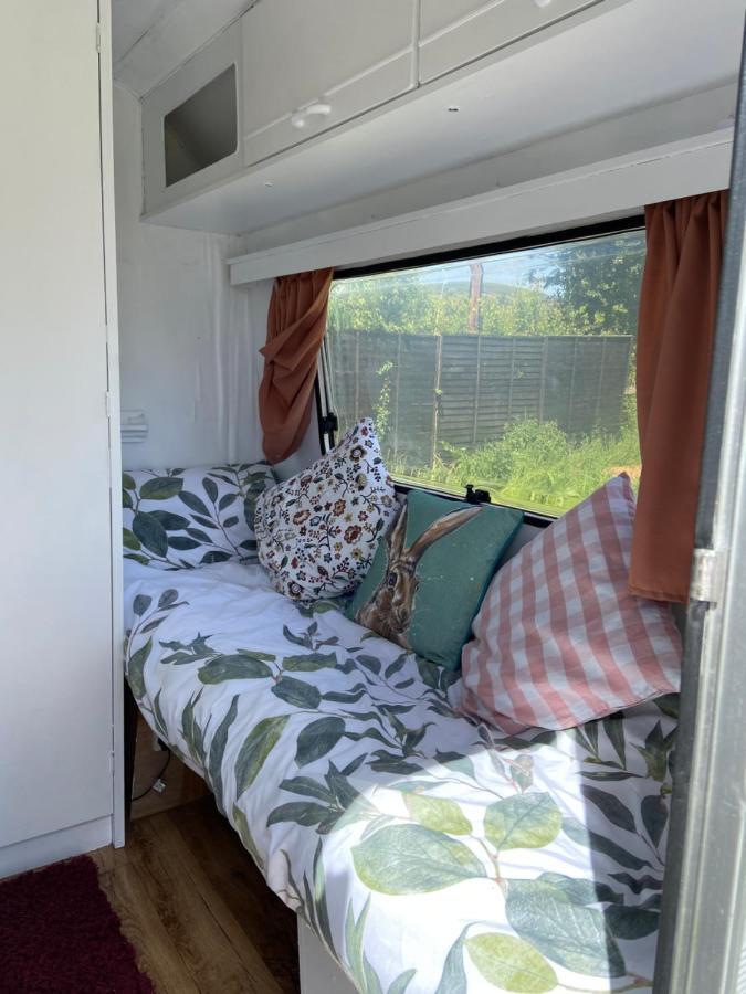 Cosy Caravan At Carrigeen Glamping 호텔 킬케니 외부 사진
